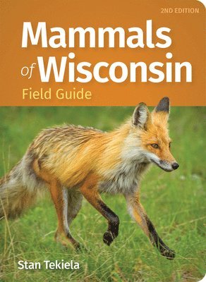 bokomslag Mammals of Wisconsin Field Guide
