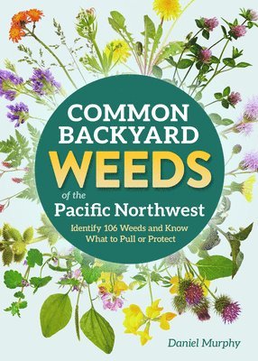 Daniel Murphy - Common Backyard Weeds of the Pacific Northwest, Häftad
