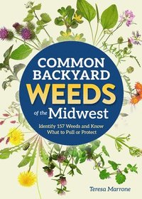 bokomslag Common Backyard Weeds of the Midwest