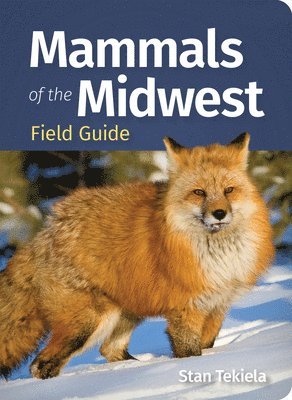 Mammals of the Midwest Field Guide