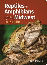 bokomslag Reptiles & Amphibians of the Midwest Field Guide