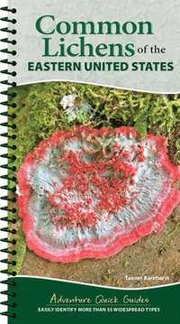 bokomslag Common Lichens of the Eastern United States