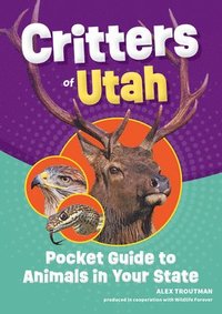 bokomslag Critters of Utah