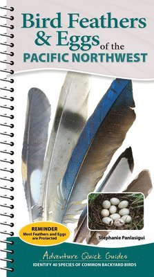 Bird Feathers & Eggs of the Northwest