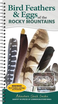 Bird Feathers & Eggs of the Rocky Mountains