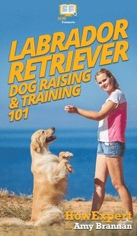 bokomslag Labrador Retriever Dog Raising & Training 101