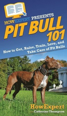 Pit Bull 101 1