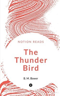 bokomslag Thunder Bird