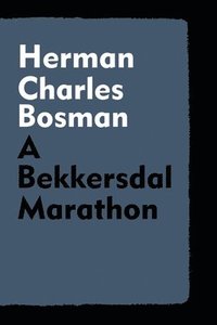 bokomslag A Bekkersdal Marathon