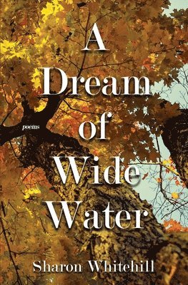 A Dream of Wide Water 1