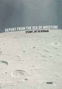 bokomslag Report from the Sea of Moisture