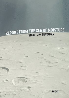 bokomslag Report from the Sea of Moisture