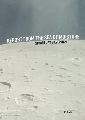 Report from the Sea of Moisture 1