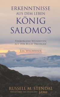 bokomslag Erkenntnisse aus dem Leben Knig Salomos