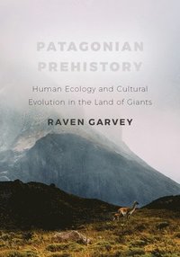 bokomslag Patagonian Prehistory