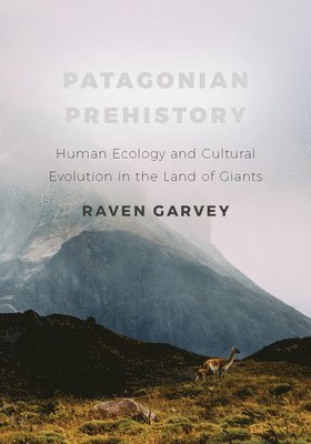 Patagonian Prehistory 1