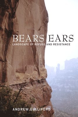 bokomslag Bears Ears