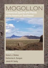 bokomslag Mogollon Communal Spaces and Places in the American Southwest