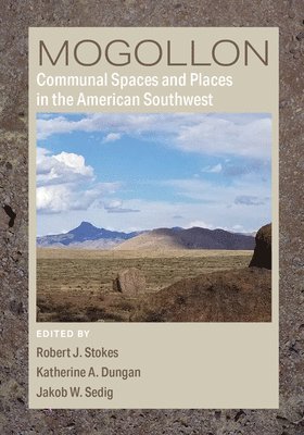 bokomslag Mogollon Communal Spaces and Places in the American Southwest