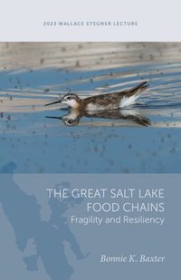 bokomslag The Great Salt Lake Food Chains