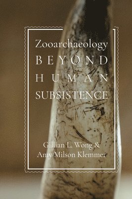 bokomslag Zooarchaeology beyond Human Subsistence