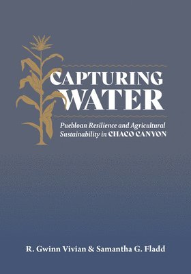 R Gwinn Vivian, Samantha G. Fladd, R. Gwinn Vivian, Samantha G Fladd - Capturing Water, Inbunden