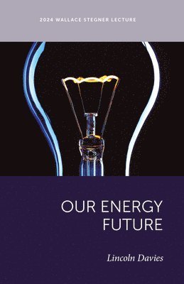 bokomslag Our Energy Future