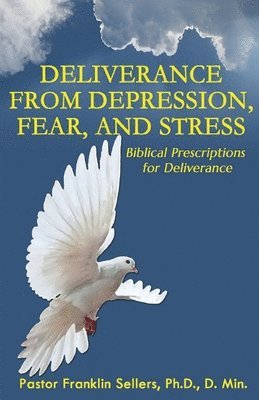 bokomslag Deliverance from Depression, Fear, and Stress