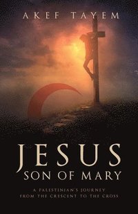 bokomslag Jesus, Son of Mary
