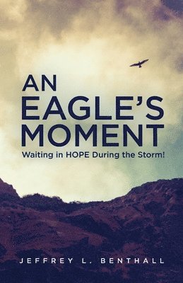 An Eagle's Moment 1