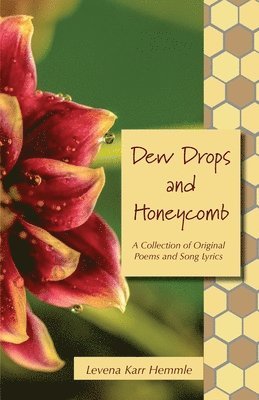 Dew Drops and Honeycomb 1