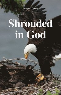 bokomslag Shrouded in God