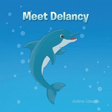 bokomslag Meet Delancy