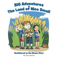 bokomslag BIG Adventures in The Land of Wee Small