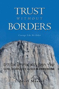 bokomslag Trust Without Borders