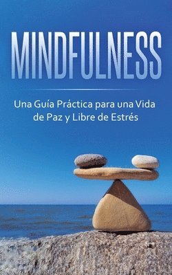 bokomslag Mindfulness