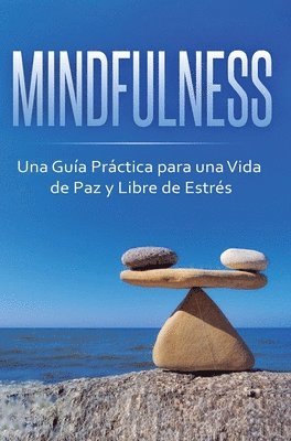 bokomslag Mindfulness