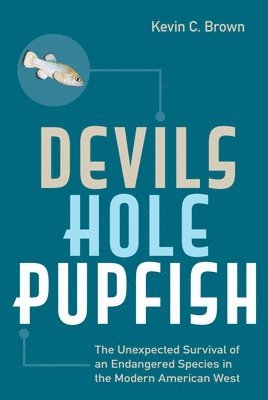 Devils Hole Pupfish 1