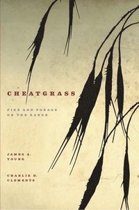 bokomslag Cheatgrass