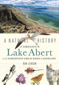 bokomslag A Natural History of Oregon's Lake Abert in the Northwest Great Basin Landscape