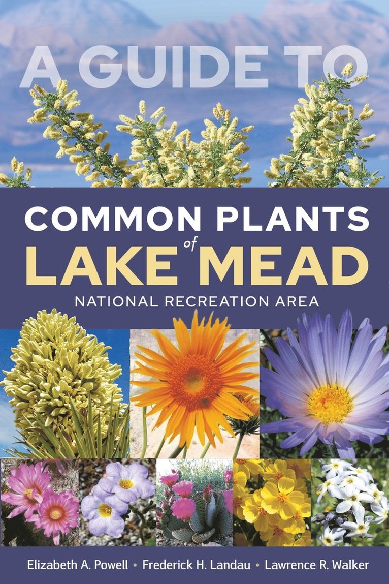 Elizabeth A. Powell, Frederick H. Landau, Lawrence R. Walker, Elizabeth A Powell, Frederick H Landau, Lawrence R Walker - Guide to Common Plants of Lake Mead National Recreation Area, Häftad