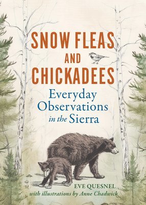 bokomslag Snow Fleas and Chickadees: Everyday Observations in the Sierra