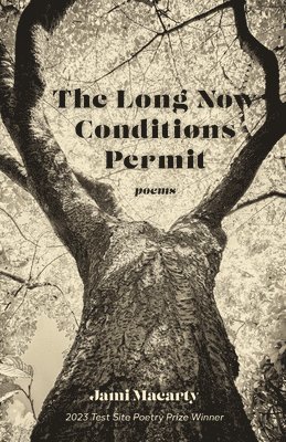 bokomslag The Long Now Conditions Permit
