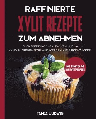 bokomslag Raffinierte Xylit Rezepte zum Abnehmen