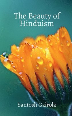 bokomslag The beauty of Hinduism