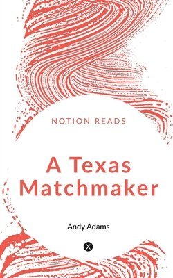 bokomslag Texas Matchmaker