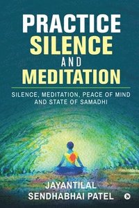 bokomslag Practice Silence and Meditation