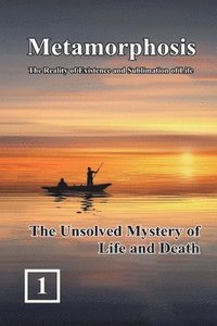 bokomslag The Unsolved Mystery of Life and Death