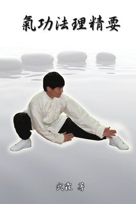 Xiaogang Wu - Choice Methods and Theory on Chinese Kungfu, Häftad