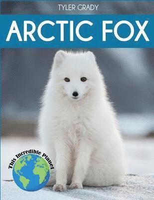 Arctic Fox 1